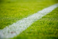 上海海港2-0山东泰山 中超 足球比分